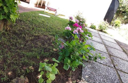 Alimede al Circeo - Foto 65