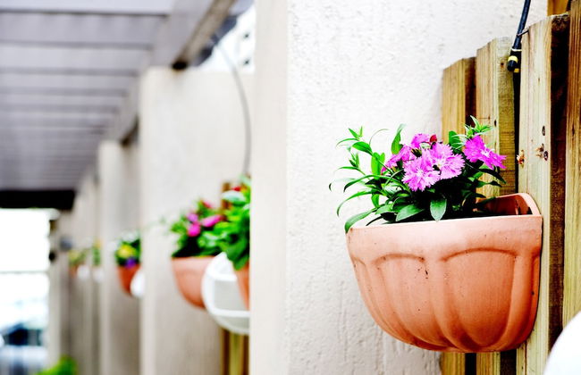 Spring Hill Mews Apartments - Photo 57