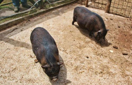 Agriturismo La Chiana - Foto 65