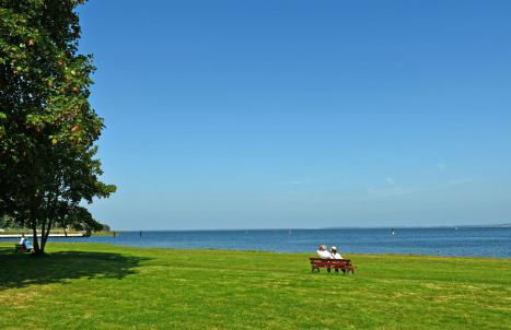 schoene Ferienwohnung mit Terrasse - Photo 3