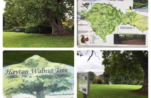 OLD CHAPEL Hayton Cumbria CA89HR - Foto 48