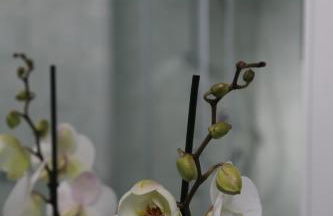 Casa Ercoli BOITO - Foto 18