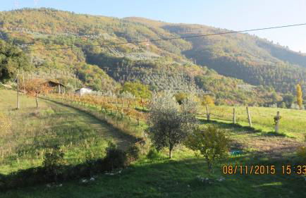 Agriturismo I Melograni - Foto 42