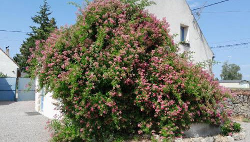 Gite de Marcureau - Foto 2