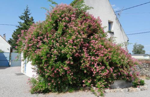 Gite de Marcureau - Foto 2