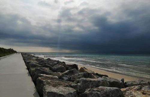 Le bélouga - Foto 23