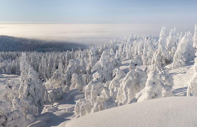 Loma-saaga 3 - Foto 38