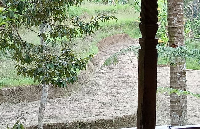 duegoal farmhouse - Photo 33