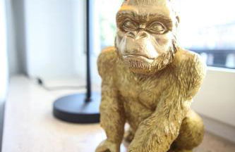 Zentral - Gemütlich - Küche - Balkon - Garage - Foto 14