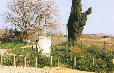 Gite de charme à 10 min de Narbonne - Foto 29