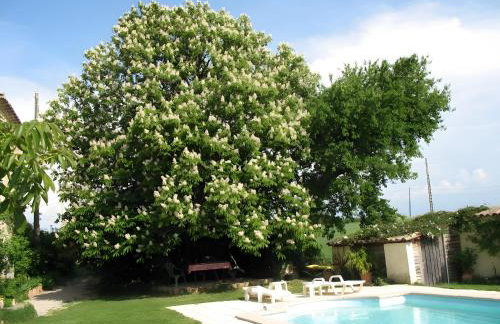 Appartement 1 - Foto 8