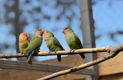 Tenuta Lo Cuoccio - Foto 65