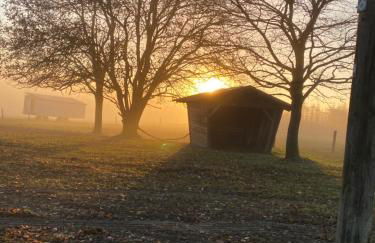 17 AM BERG - Foto 66