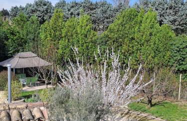 Domaine des Vergers - Foto 29