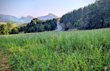 Résidence les Rochers Blancs 1 au centre de la station à deux pas des pistes - Foto 22