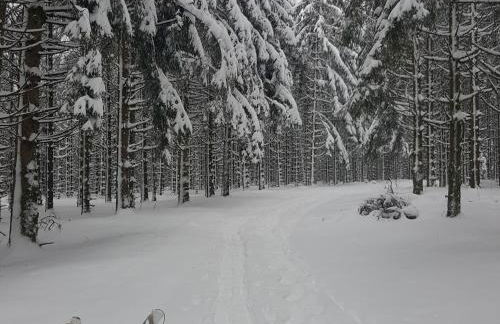 Gîte élégant en pleine nature avec terrasse, départ randonnées, parking privé et équipements inclus - FR-1-589-384 - Foto 18