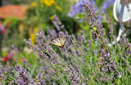 Casa Vacanze Family - Foto 48