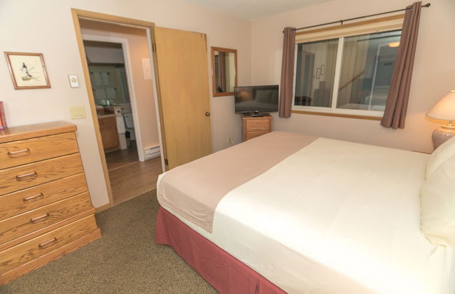 The Grey Gull - Foto 31