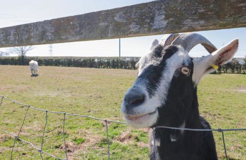 Beaver Cottage - Photo 29