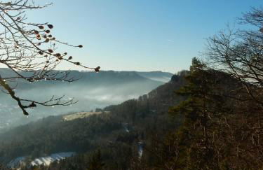 Haus Kellenburg - Foto 5