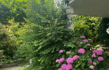 Maison Montello - Foto 29