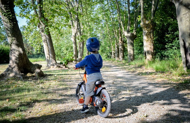 La Résidence du Château de Jouarres - Foto 73