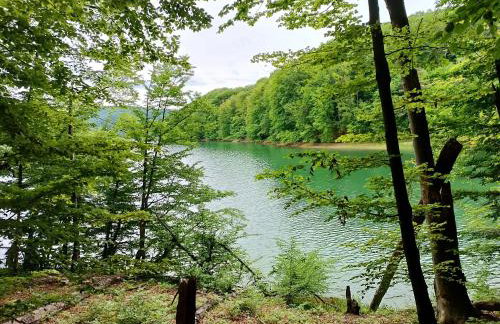 Bieszczadzka Pauza - Foto 7