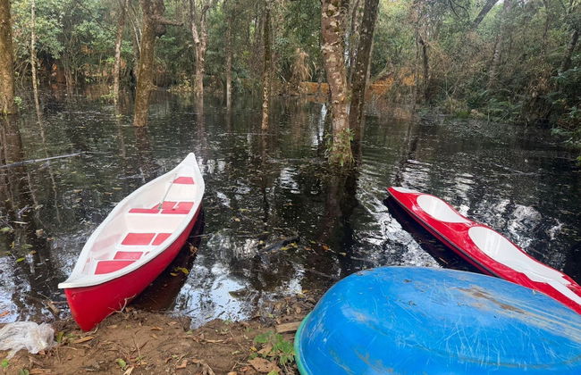 Coorg Tree House - Foto 1