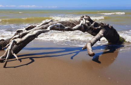 A casa di Laura - Foto 6