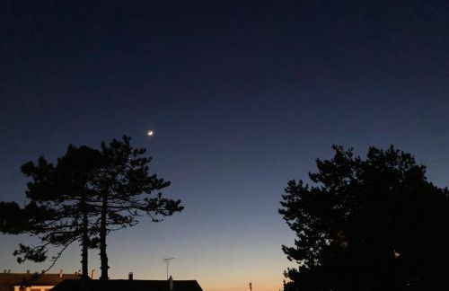 Les Alisés - Photo 19