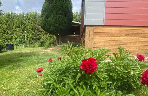 Fewo Waidla - Foto 17