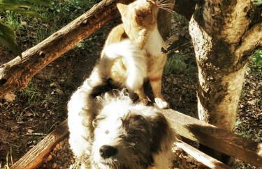 Agriturismo Cisogna - Foto 67