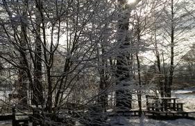 Ferienhof Idyll am kleinen Fließ - Foto 30