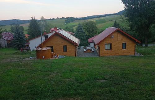 BIESZCZADZKA Antosiówka - Foto 28