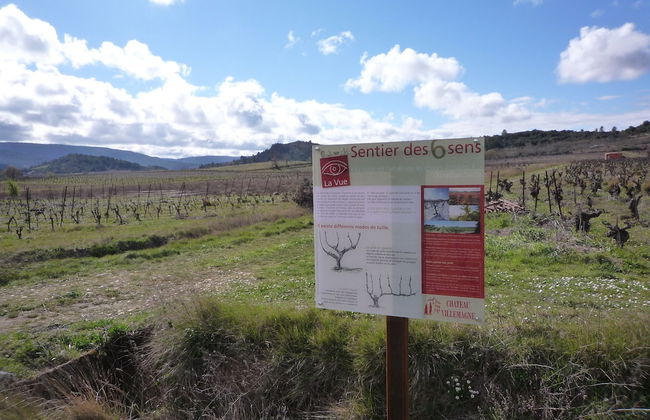 Le Gîte Vigneron - Foto 15