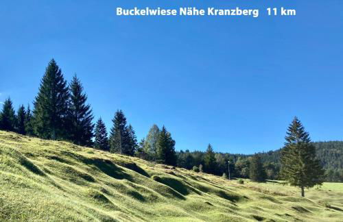 Ferienwohnungen am Kranzbach FeWo2 - Foto 45