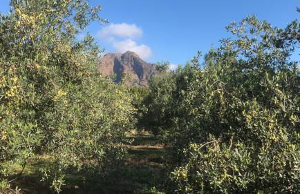 Su Cappeddu Agriturismo - Foto 22