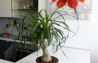 -Casa Relax con giardino- wi-fi Aria condizionata Parcheggio - Foto 17