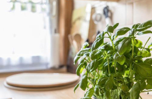 Ferienhaus Herich - Foto 14