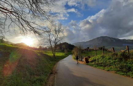 La casa de abajo - Foto 31