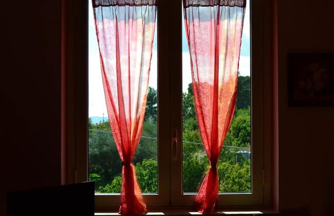 Room-blue Room - B&B S Elia - Foto 28