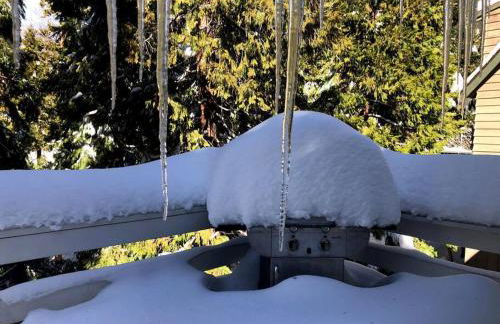 Lake house Cabin - Lake Arrowhead - Photo 39