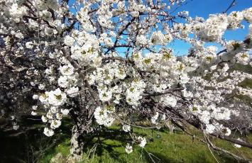 Apartamentos Ca' tio Celso - Foto 63