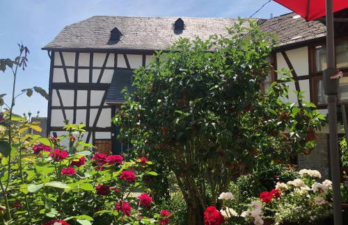 Gut Bunt Ferienhaus - Photo 25