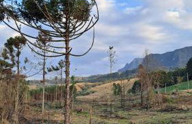 Pousada Refúgio Ressignificar - Foto 15