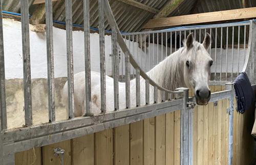 Stockham Farm Dulverton - Foto 36