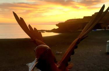 Ajuy Tortuga House - Photo 14