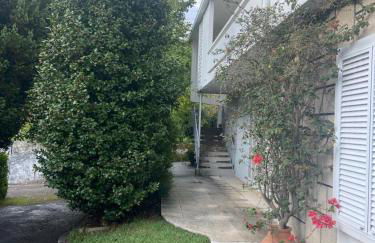 Quinta do Vale Vaqueiro - Foto 2