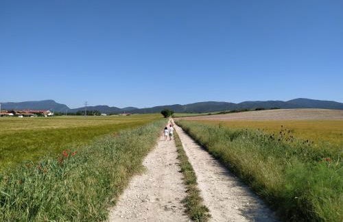 Areeta Etxea - Foto 21