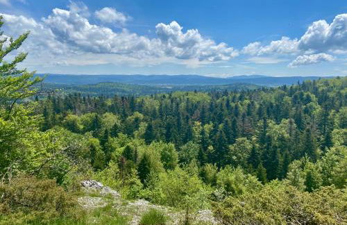 La petite marmite du lac de Vouglans - Foto 25